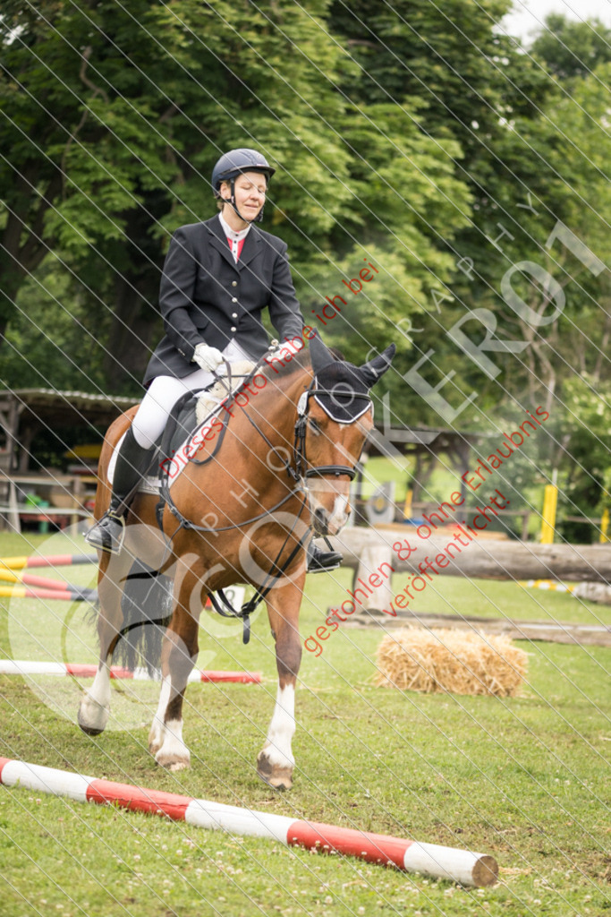 IMG_8336 | Sport-, Event- und Tierfotos in Profiqualität. Einfach auswählen, bestellen und herunterladen. Dein Moment – perfekt festgehalten.