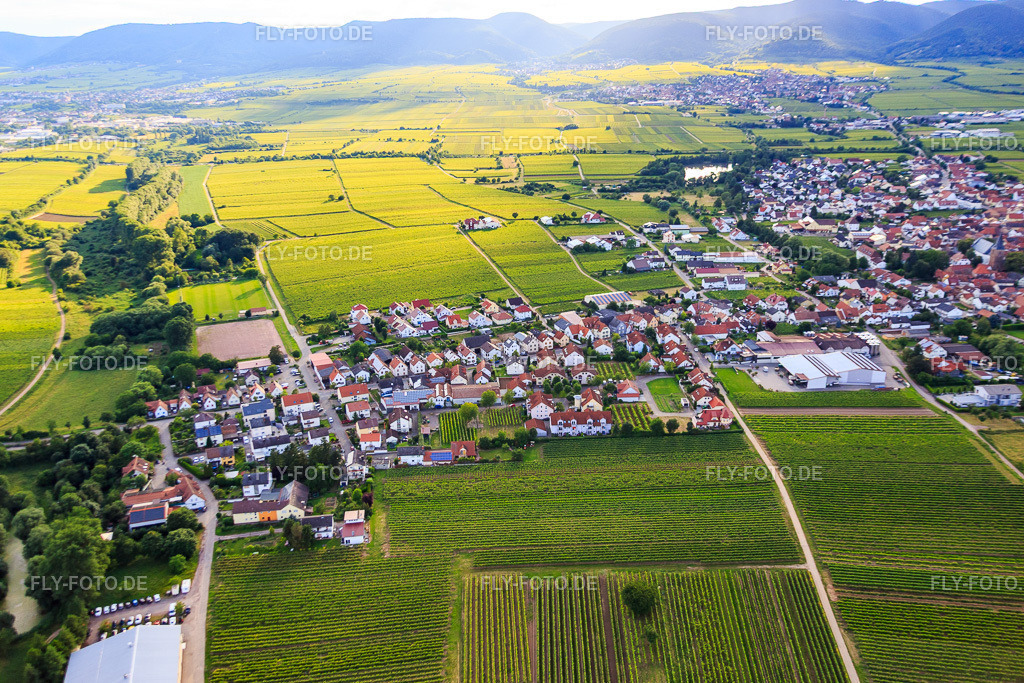 Ortsansicht aus Osten | Luftbild: Ortsansicht aus Osten in Kirrweiler im Bundesland Rheinland-Pfalz in Deutschland. Foto: IMG_090105.jpg vom 26.06.2016 durch Werner Riehm/FLY-FOTO.de - Realisiert mit Pictrs.com