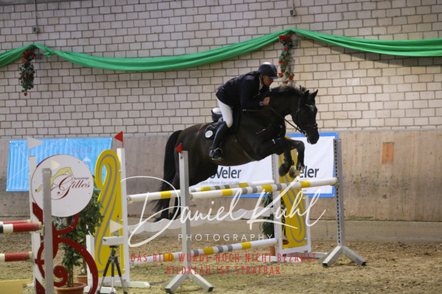 IMG_0895 | Turnierfotos kaufen im Webshop von Daniel Kuhl Photography – entdecke professionelle Reitsportfotos aus Turnieren & Events. Hochwertige Turnierbilder online bestellen & sichern. Jetzt Fotos von Reitsportturnieren kaufen!
