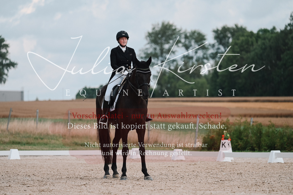 DSC_4242 | Pferde- und Turnierfotografie in Westsachsen. Pferdeportraits, Auftragszeichnungen und intuitive Kunst.