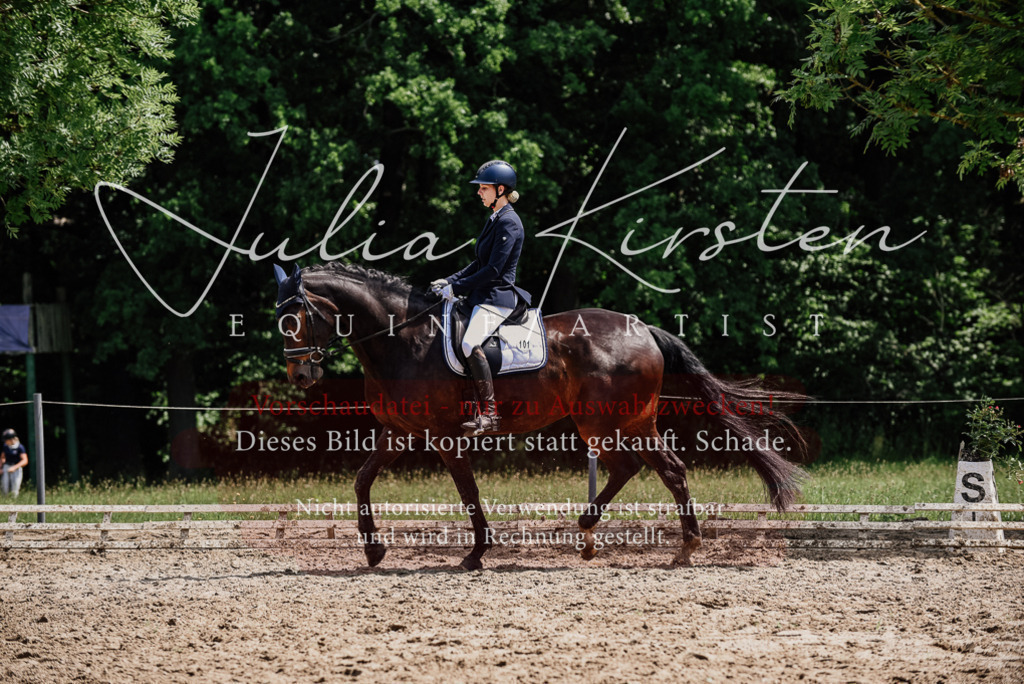 DSC_1486 | Pferde- und Turnierfotografie in Westsachsen. Pferdeportraits, Auftragszeichnungen und intuitive Kunst.