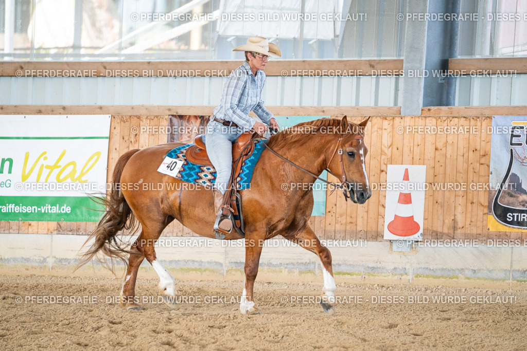 DSC02410 | Pferdegrafie