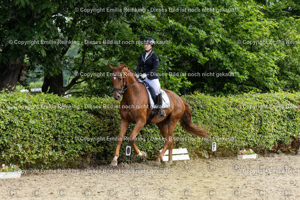 CL5A5122 | Emilia Reinking Fotografie - Realisiert mit Pictrs.com