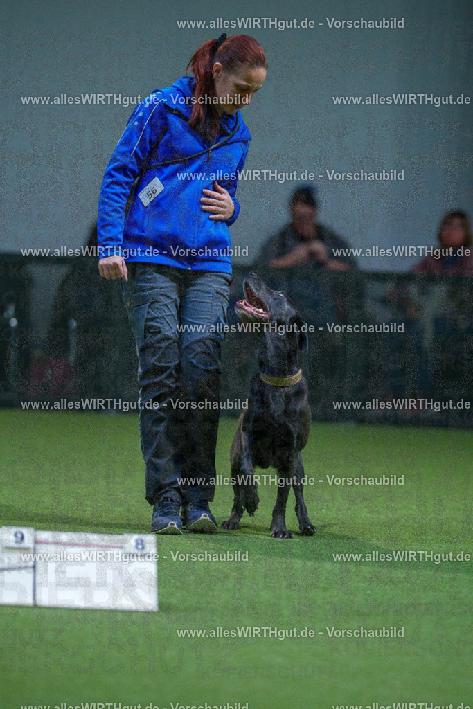 7R502461 | Professionelle Tierfotografie in Mönchengladbach von Daniel Wirth (allesWIRTHgut). Liebevolle & natürliche Bilder von Hunden & Katzen für unvergessliche Erinnerungen.