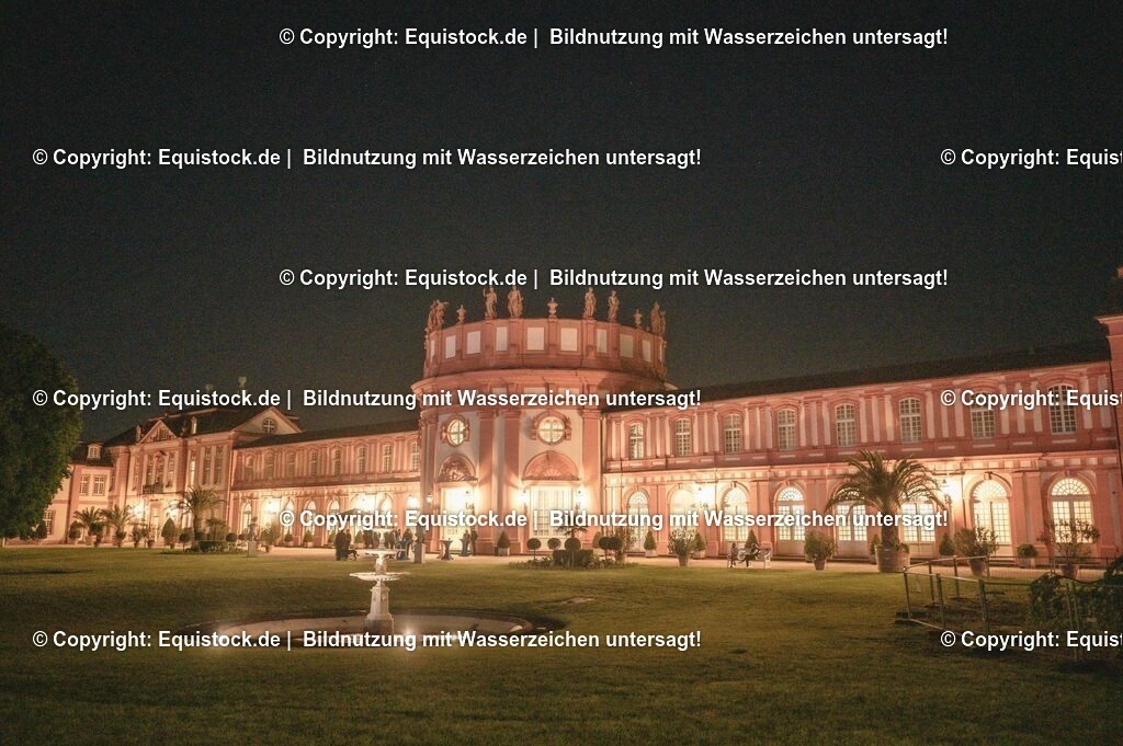 20230527_Voltigieren_NASPA_Flutlicht_1247 | equistock