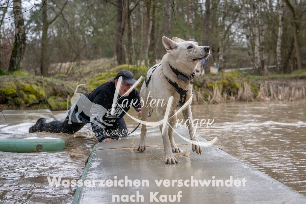 0922_ZZ90788-Bearbeitet | kk-dogfotos