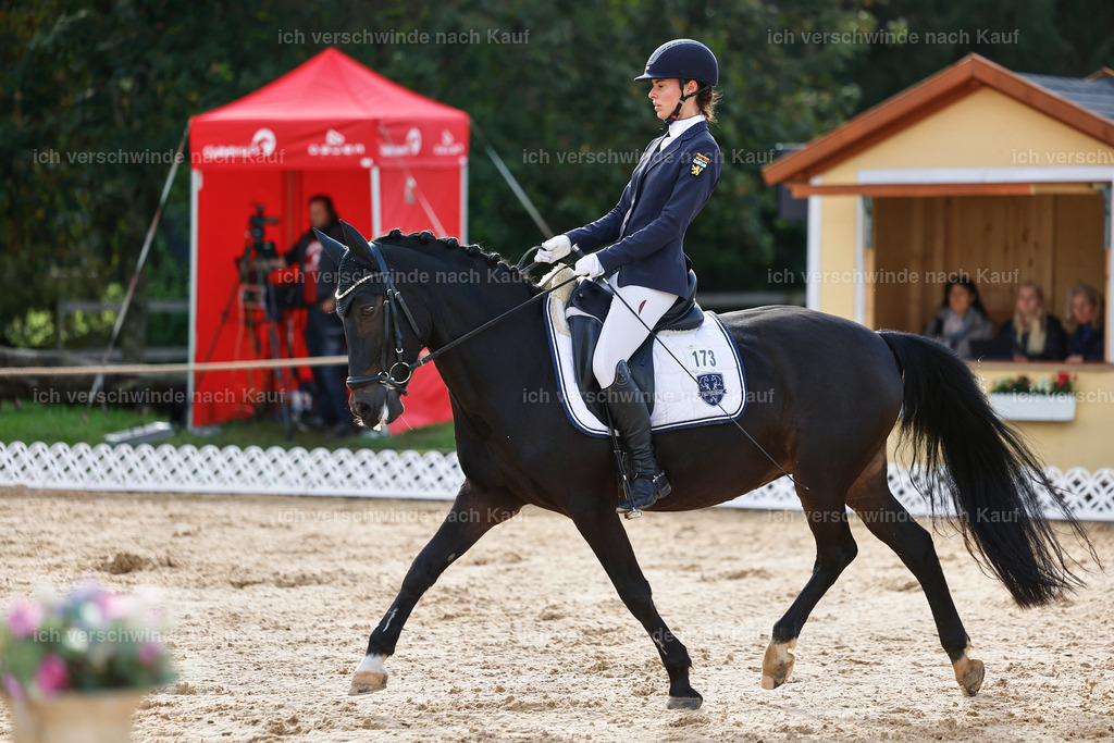 02-173-DRESSUR L_  -StoibPH-4748 | working equitationturnier fotograf videograf stoibphotography marixx film working equitation deutschland reitsport turnierfotografie eventfotografie equestrian events