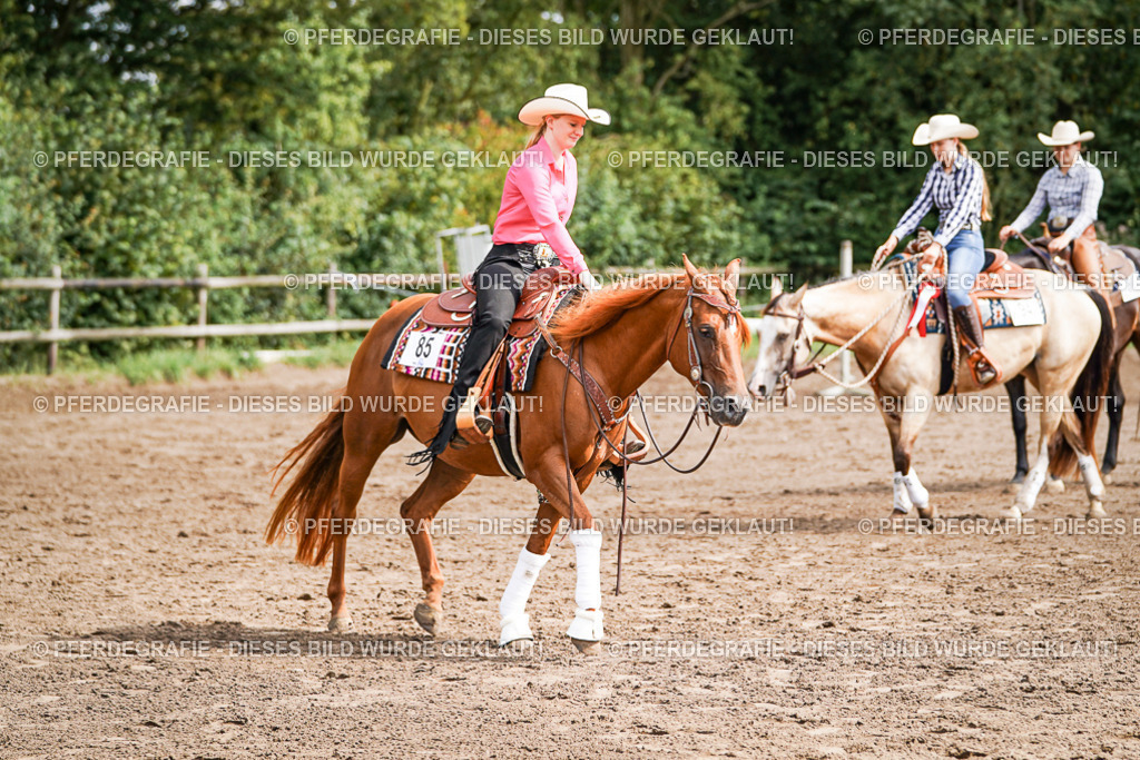 DSC08455 | Pferdegrafie