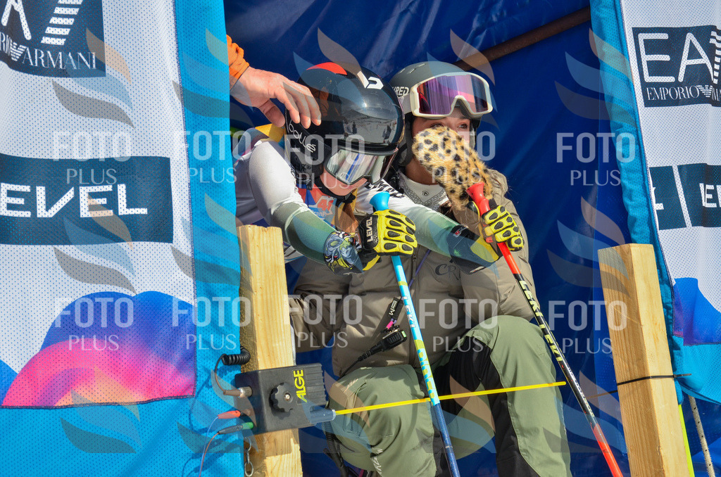 _ELE5139 | holidayphoto