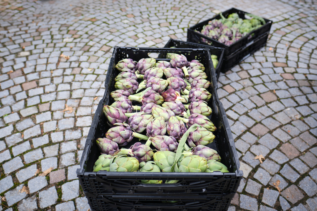 Theuringer Artischocken | Raasdorf, Austria - August 17, 2020; Theuringer Artischocken-Ernte im Marchfeld; abgeladene Kisten vor dem Hofeingang. - Realisiert mit Pictrs.com
