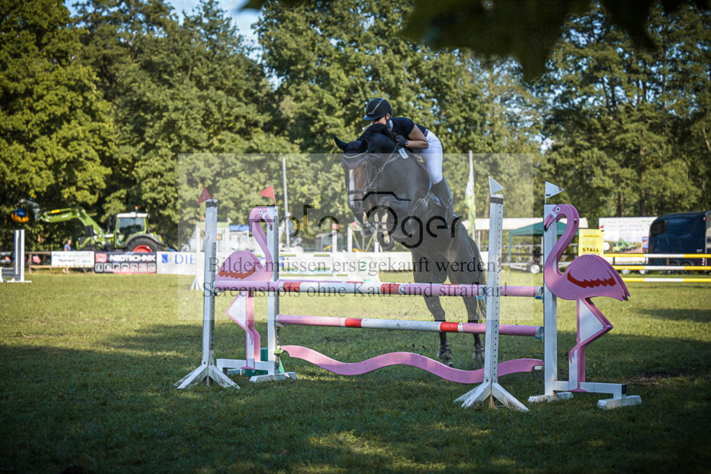 DOS_0053 | Entdecke hochwertige Reitturnierfotos von Foto Oger. Professionell, emotional und authentisch – jetzt Lieblingsmomente im Shop bestellen.Deutschlandweite Turnierfotografie. - Realisiert mit Pictrs.com