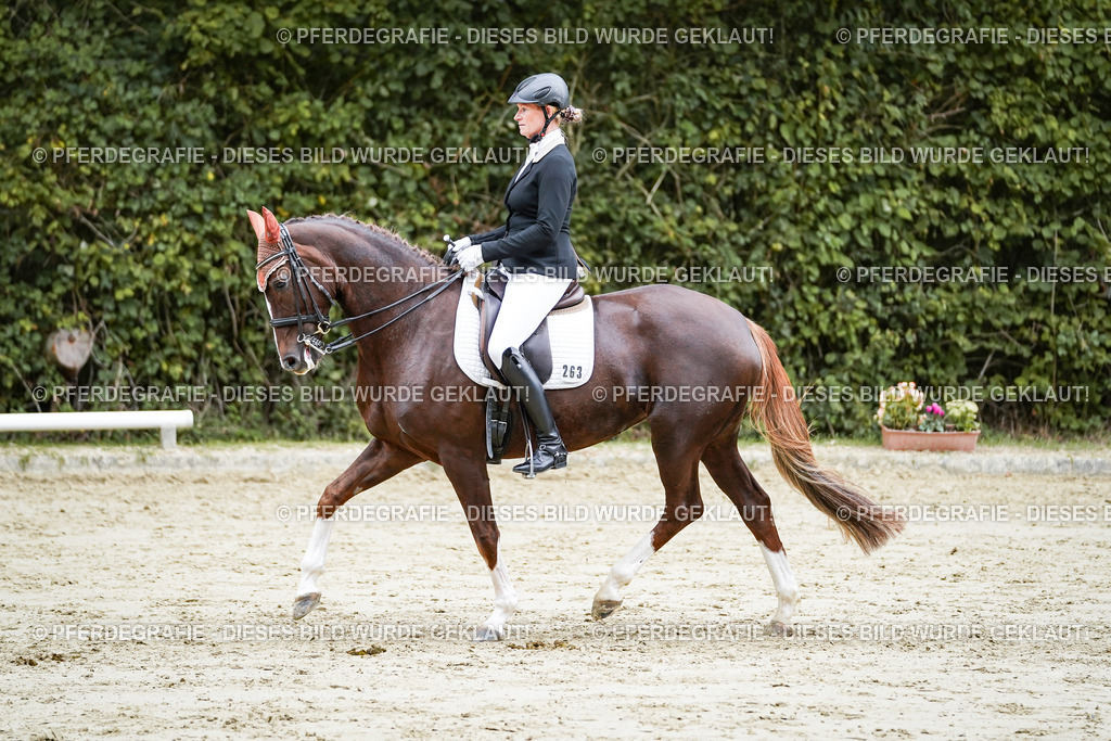 DSC09842 | Pferdegrafie