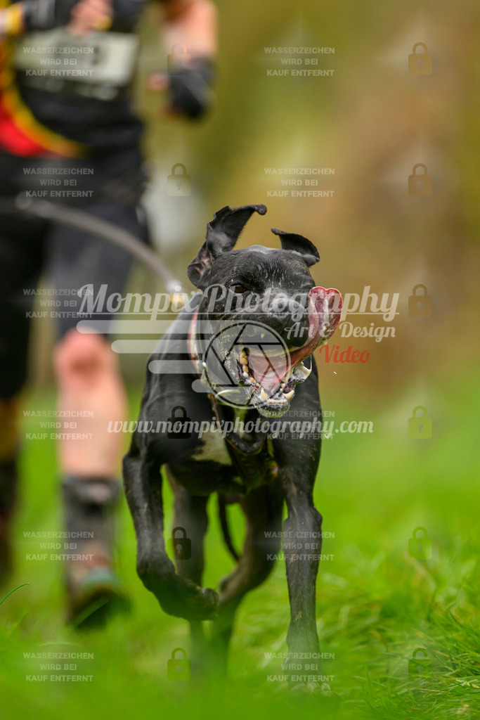 MompixPhotography_20TSB_E8_Run-109 | PayLife