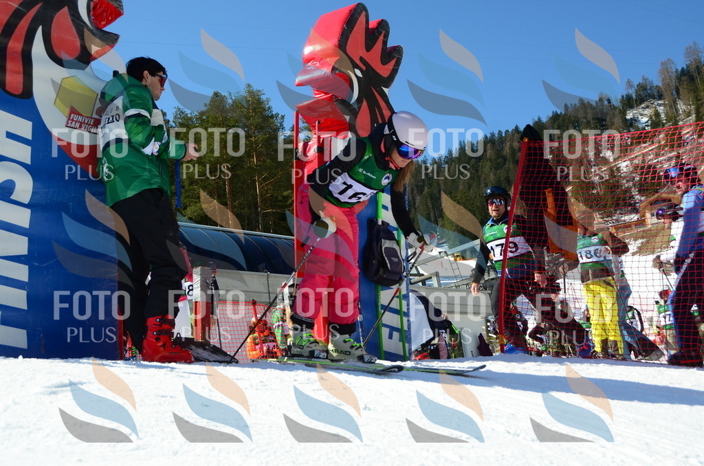 C6241 | holidayphoto