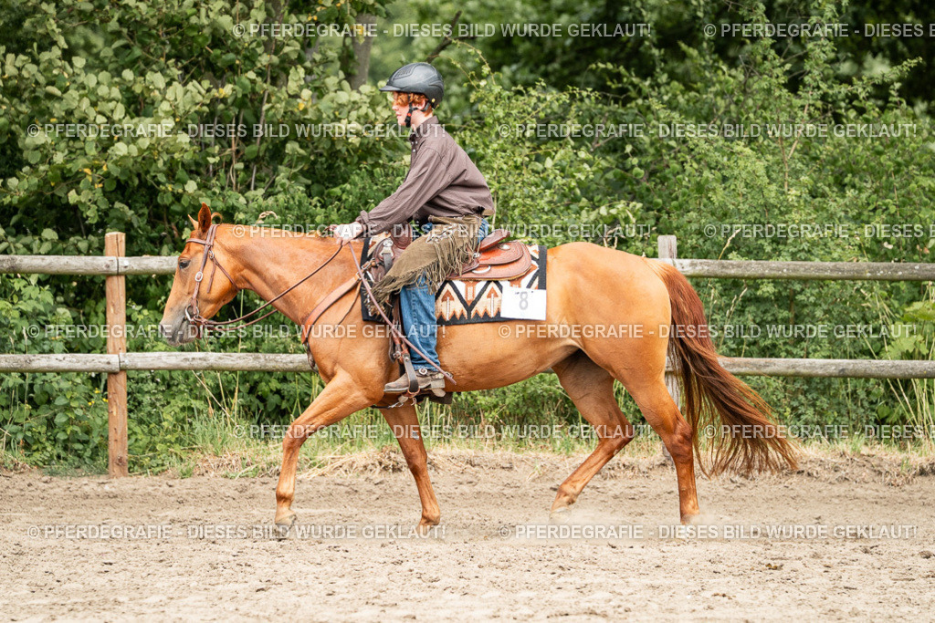 DSC01340 | Pferdegrafie