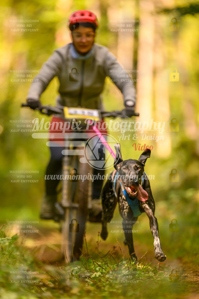 MompixPhotography_Yens2025_B2-160 | PayLife