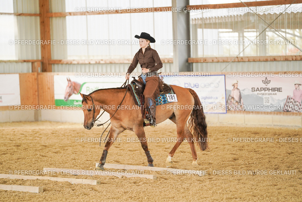 DSC04688 | Pferdegrafie