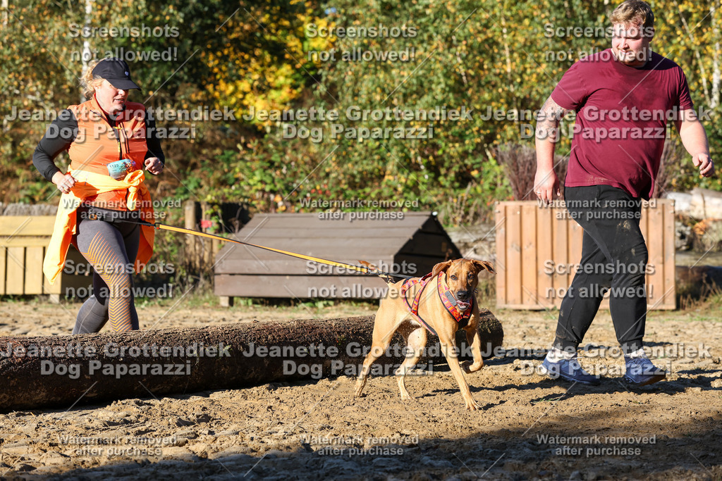 Dog Paparazzi - Strongdog 10-25-1508 | Dog Paparazzi Jeanette Grottendiek Fotografie & Videografie - Realisiert mit Pictrs.com