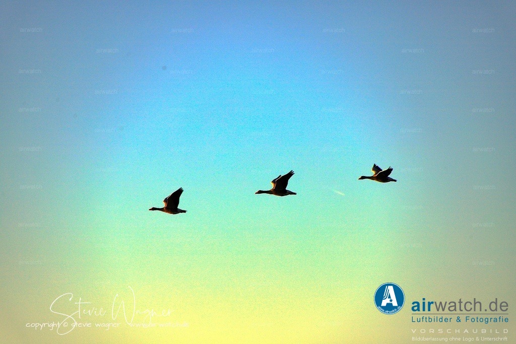 _MG_9105 | Entdecken Sie atemberaubende Luftbilder und Fotografien auf airwatch.de - Tauchen Sie ein in eine Welt voller faszinierender Aufnahmen aus der Vogelperspektive.