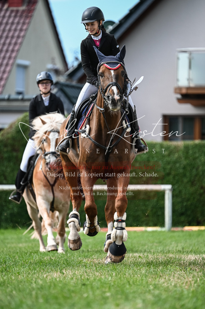 DSC_8690 | Pferde- und Turnierfotografie in Westsachsen. Pferdeportraits, Auftragszeichnungen und intuitive Kunst.