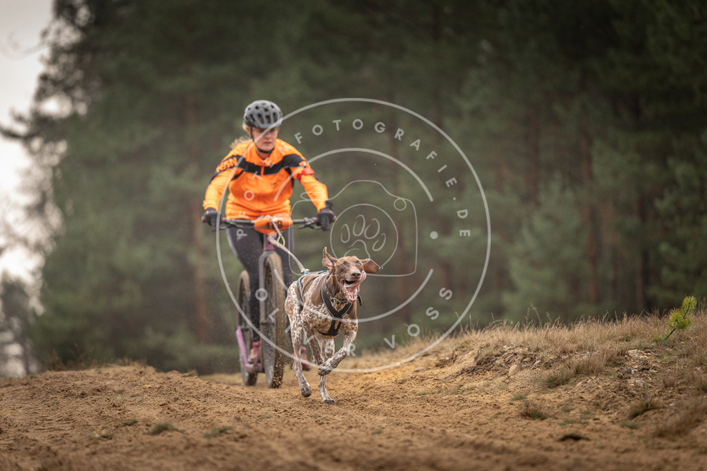 Pfotenfotografie_DV3A4829 | Hundefotografie, Tierfotograf, Pfotenfotografie, Fotoshooting Hund, Hunde Portrait, Hundesport, Hundeportraits, Heideshooting, Hunde, Sportfotograf, Hundefotograf, Turnierhundsport, THS,  - Realisiert mit Pictrs.com