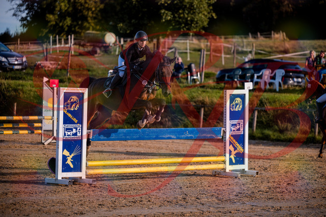 2026_10_03_Siefer-Hof_171049_Z81_07797918 | Professionelle Reitsport-, Turnier- und Eventfotografie von Robert Broda. Galerien mit ausgewählten und bearbeiteten Bildern direkt online ansehen und bestellen.