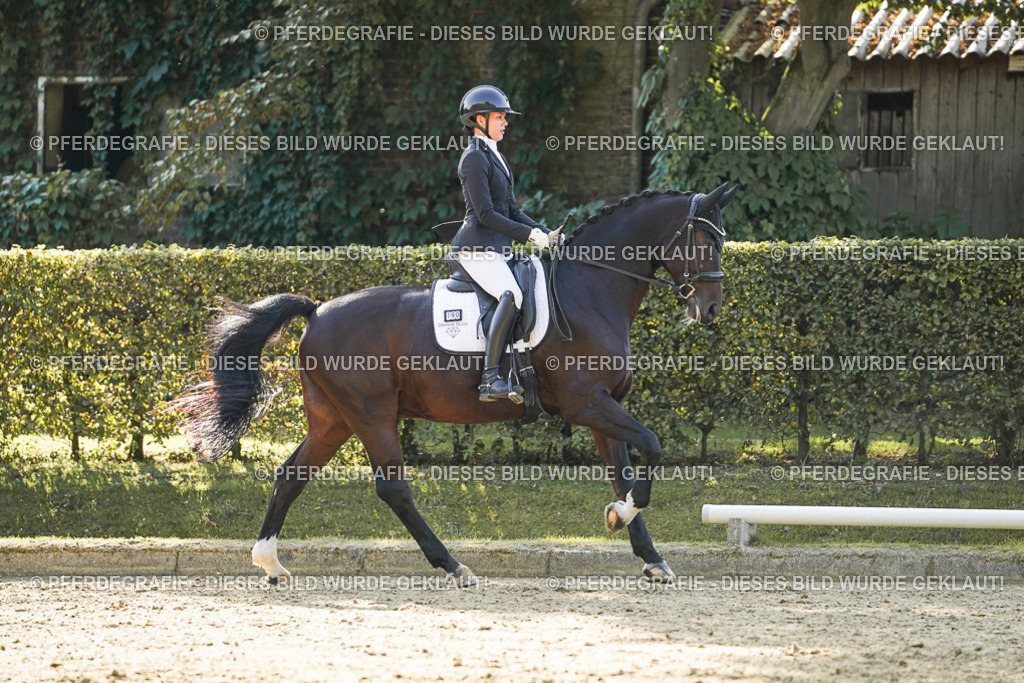 DSC06349 | Pferdegrafie