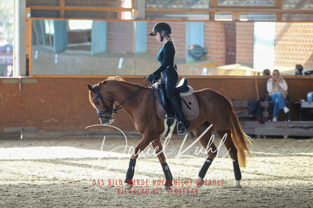 DKP42597 | Turniersportfotografie; Pferdefotografie; Dressurfotografie