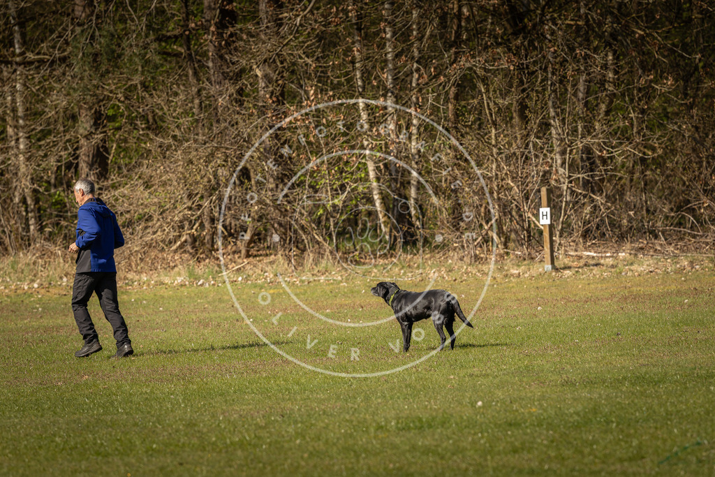 Pfotenfotografie_DV3A0372 | Hundefotografie, Tierfotograf, Pfotenfotografie, Fotoshooting Hund, Hunde Portrait, Hundesport, Hundeportraits, Heideshooting, Hunde, Sportfotograf, Hundefotograf, Turnierhundsport, THS,  - Realisiert mit Pictrs.com