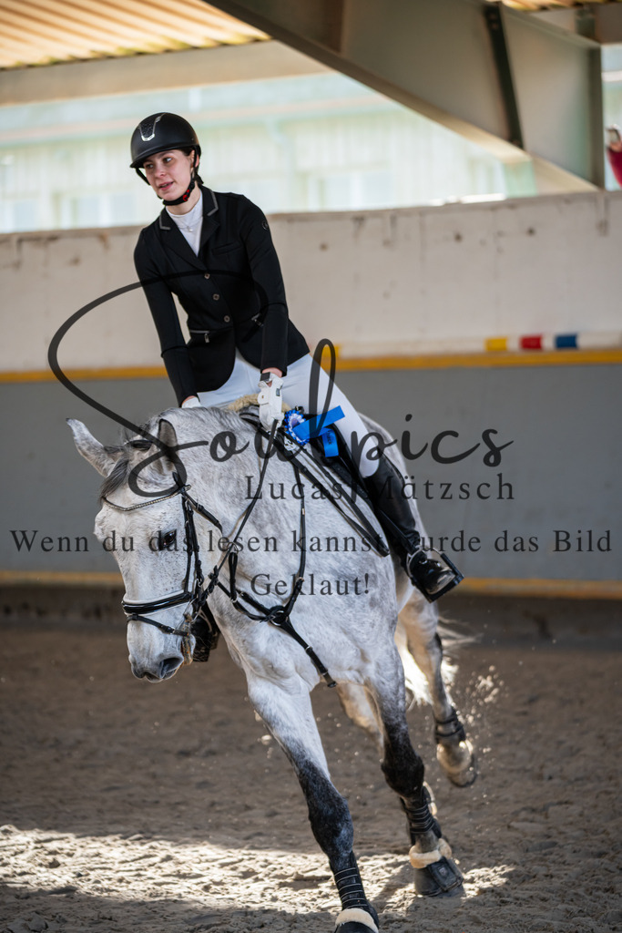 A7V02094 | Pferdefotograf