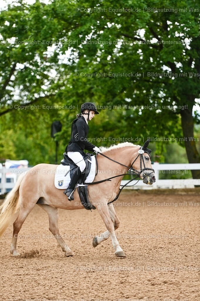 20230716_10-1_Reiter-WB Schritt - Trab - Galopp_0220 | equistock