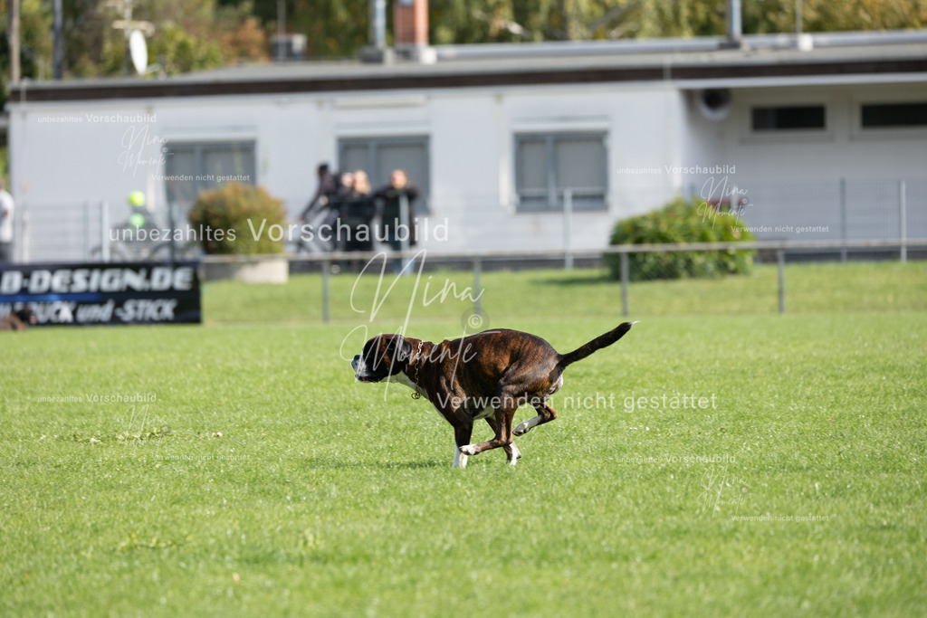 _16A6887 | Einzigartige Fotos von Hunden & Menschen –Actionfotos, Portraits, Vereinsaufnahmen & Paarshootings – authentisch, lebendig & mit Herz.
