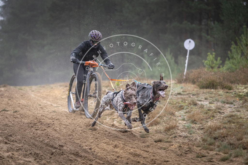 Pfotenfotografie_DV3A0733 | Hundefotografie, Tierfotograf, Pfotenfotografie, Fotoshooting Hund, Hunde Portrait, Hundesport, Hundeportraits, Heideshooting, Hunde, Sportfotograf, Hundefotograf, Turnierhundsport, THS,  - Realisiert mit Pictrs.com