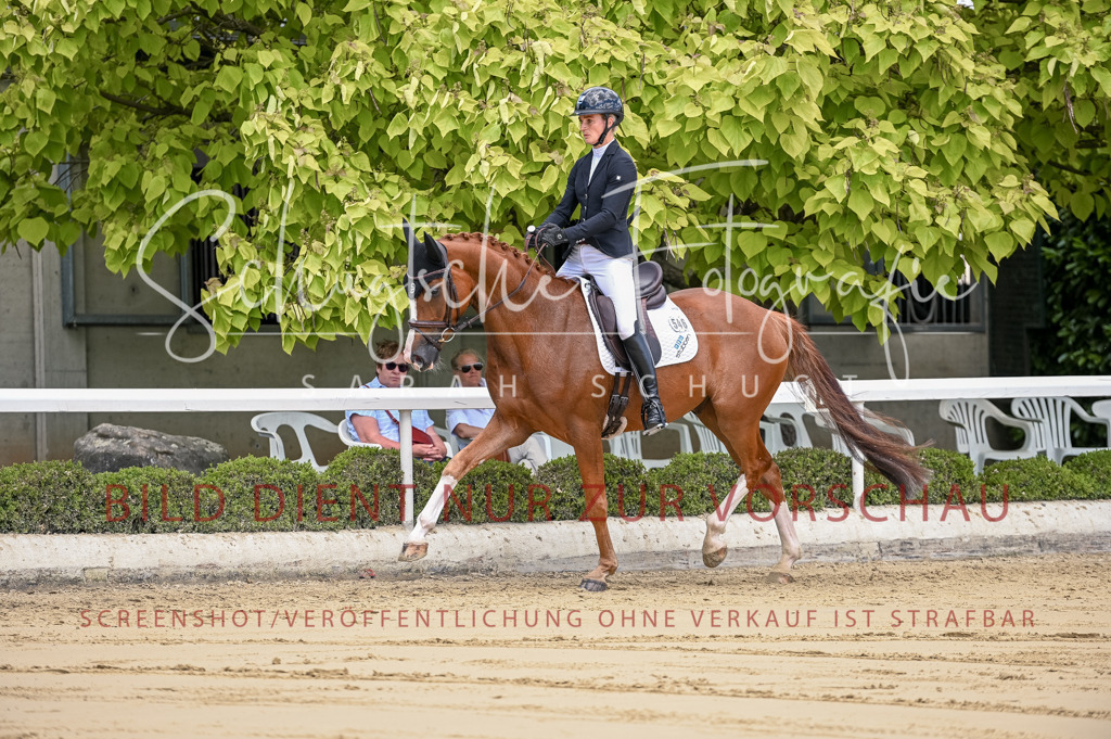 Schugtsche-Aluta25-48.Reitpferfdeprf.-137 | Schugtsche Fotografie - Realisiert mit Pictrs.com