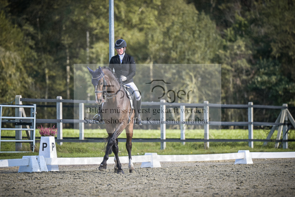 DOS_4742 | Entdecke hochwertige Reitturnierfotos von Foto Oger. Professionell, emotional und authentisch – jetzt Lieblingsmomente im Shop bestellen.Deutschlandweite Turnierfotografie. - Realisiert mit Pictrs.com