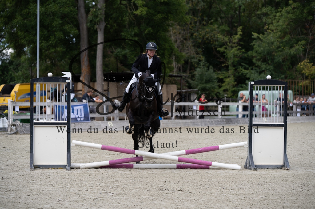 A7V07108 | Pferdefotograf