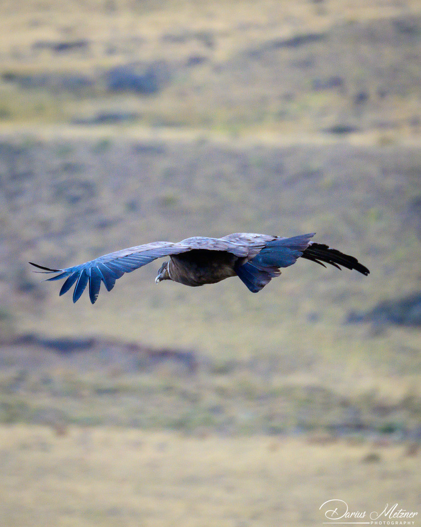 El Chalten in Argentinien | El Chalten in Argentinien