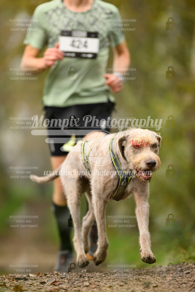 MompixPhotography_20TSB_E6_Run-139 | PayLife