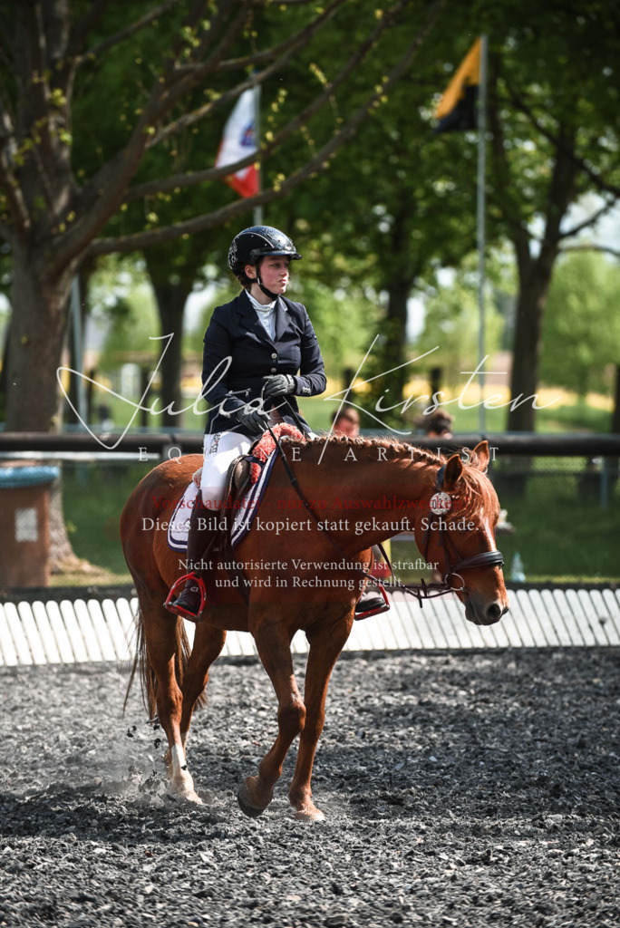 DSC_9066 | Pferde- und Turnierfotografie in Westsachsen. Pferdeportraits, Auftragszeichnungen und intuitive Kunst.