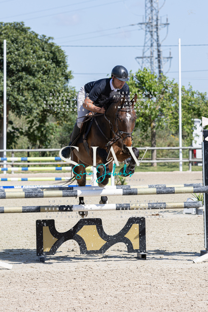 IMG_7116 | s-jay-photography - Realisiert mit Pictrs.com