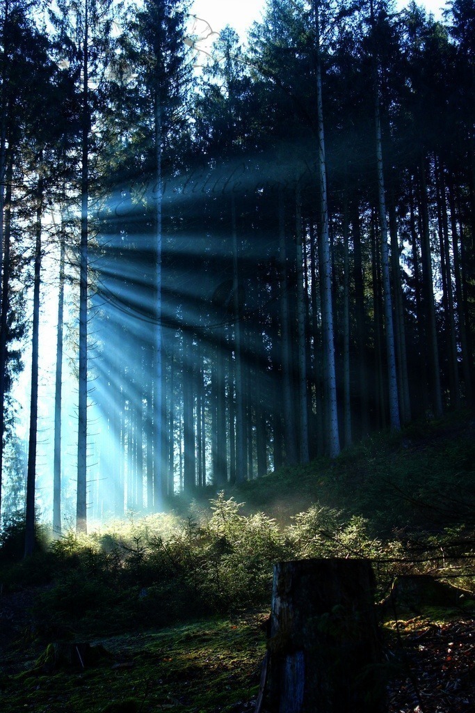 IMG_1348-01 | only.this.little.world - Realisiert mit Pictrs.com