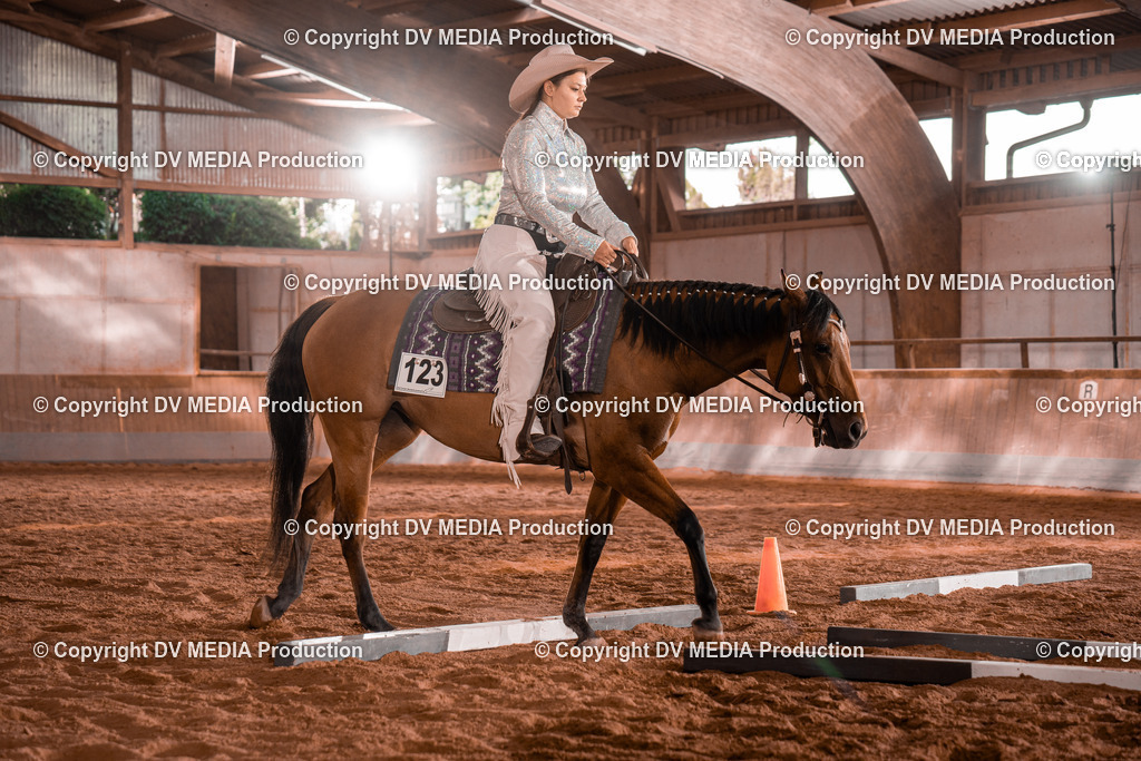 NE200108 | dv-media-shop - Realisiert mit Pictrs.com