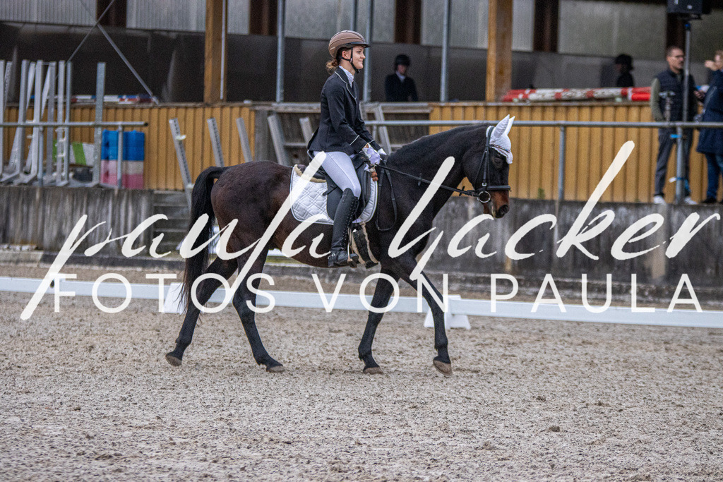 IMG_2422 | Erleben Sie dynamische Sport- und emotionale Tierfotografie in Süddeutschland mit Fotos von Paula. Spezialisiert auf Pferde- und Hundefotografie sowie Sportevents. Kontaktieren Sie mich für einzigartige und ausdrucksstarke Bilder Ihrer besonderen Momente.