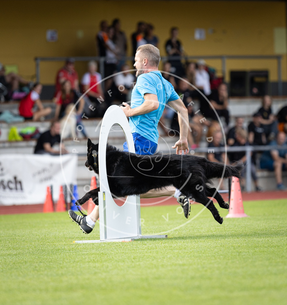 Pfotenfotografie_DV3A1647 | Hundefotografie, Tierfotograf, Pfotenfotografie, Fotoshooting Hund, Hunde Portrait, Hundesport, Hundeportraits, Heideshooting, Hunde, Sportfotograf, Hundefotograf, Turnierhundsport, THS,  - Realisiert mit Pictrs.com