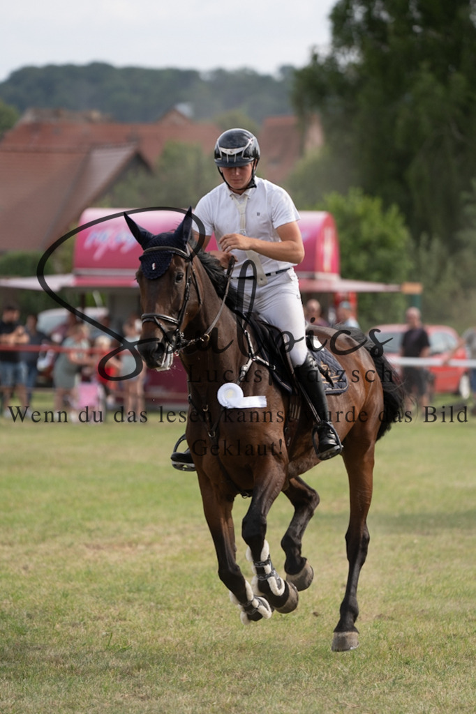 A7V02954 | Pferdefotograf