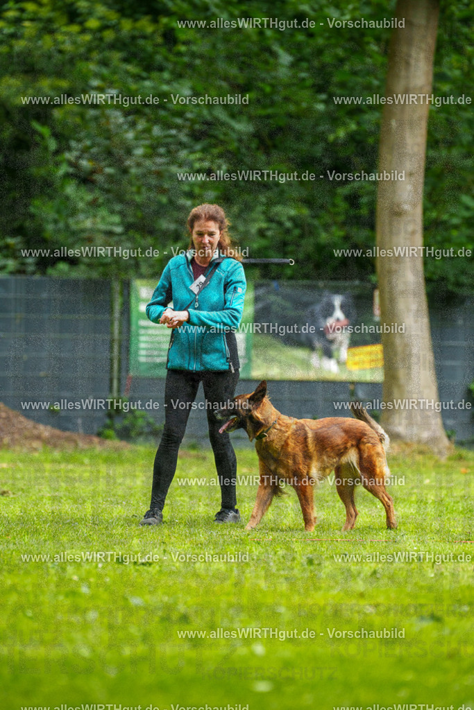 @allesWIRTHgut_Tierfotografie - www.allesWIRTHgut.de - 102235-7R508427 | Professionelle Tierfotografie in Mönchengladbach von Daniel Wirth (allesWIRTHgut). Liebevolle & natürliche Bilder von Hunden & Katzen für unvergessliche Erinnerungen.
