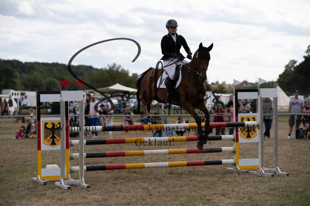 A7V09697 | Pferdefotograf