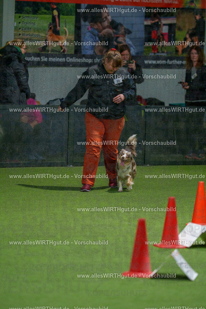 7R504596 | Professionelle Tierfotografie in Mönchengladbach von Daniel Wirth (allesWIRTHgut). Liebevolle & natürliche Bilder von Hunden & Katzen für unvergessliche Erinnerungen.