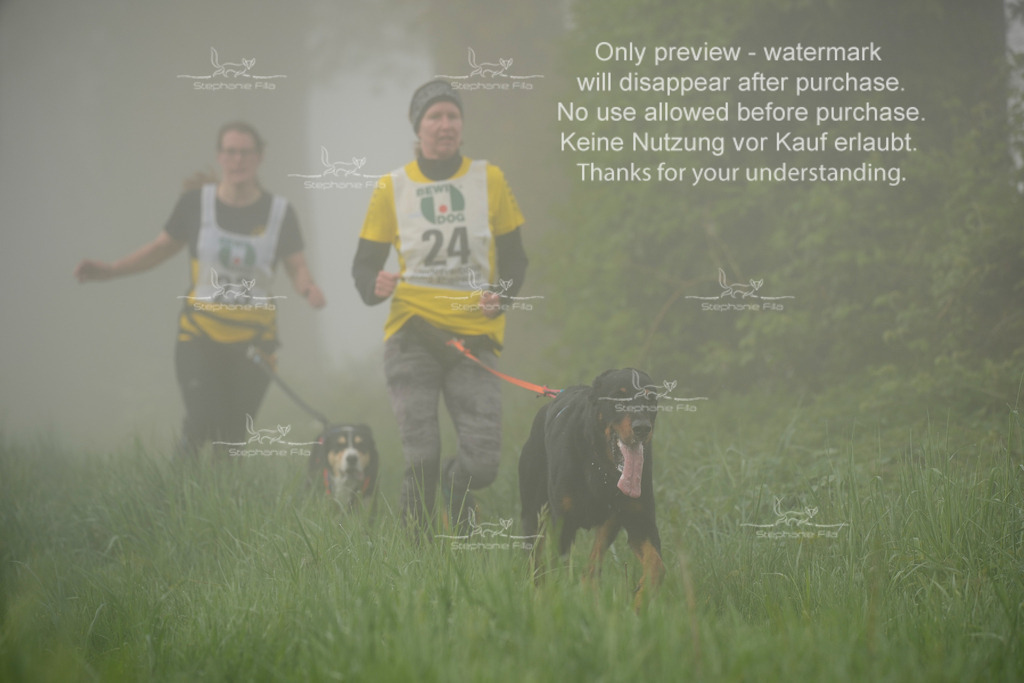 SA_GL2-125 | stephaniefillaphotographie - Realisiert mit Pictrs.com