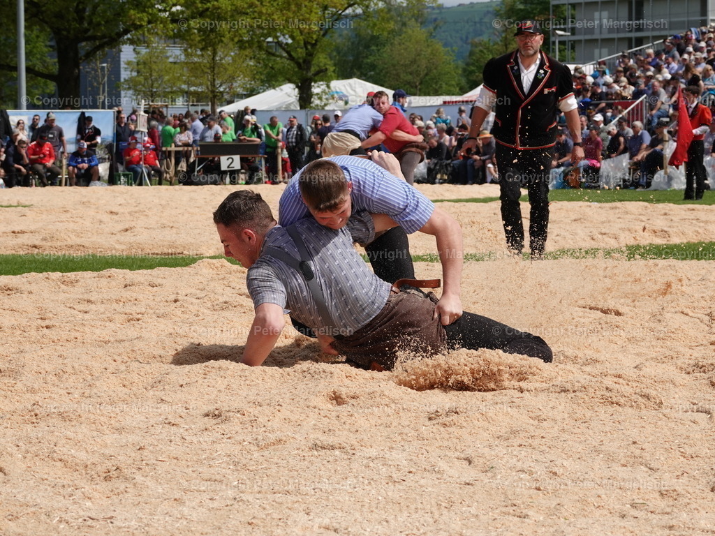 DSC06397 | Schwingen - Realisiert mit Pictrs.com